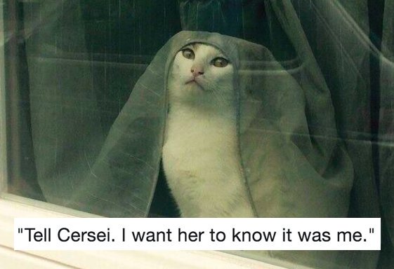 cat game of thrones tell cersei - "Tell Cersei. I want her to know it was me."