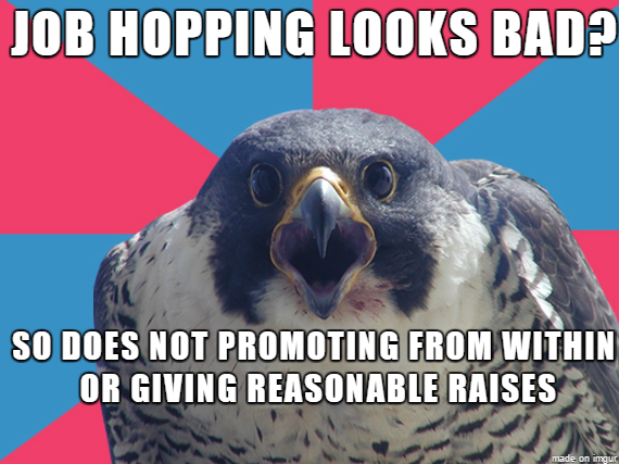 millennial falcon meme - Job Hopping Looks Bad? So Does Not Promoting From Within Or Giving Reasonable Raises made on imgur