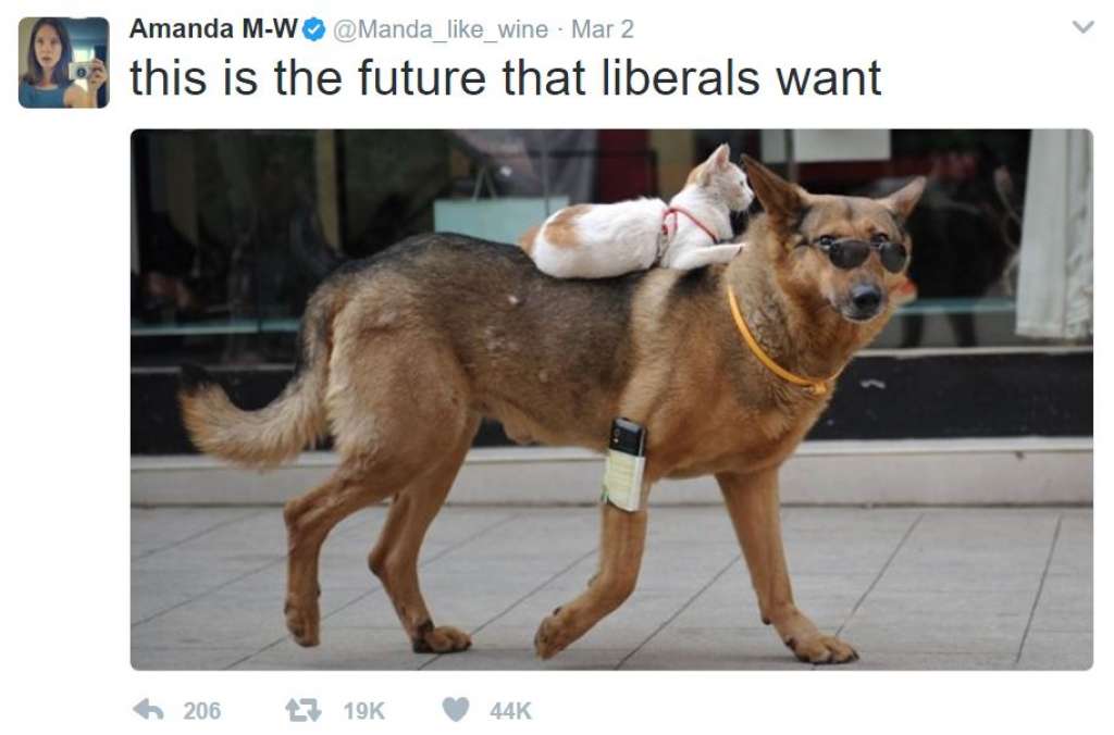 future liberals want - Amanda MW Mar 2 this is the future that liberals want 44K