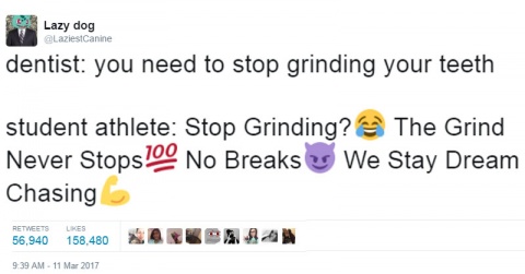 best student athlete memes - Ladies Canine dentist you need to stop grinding your teeth student athlete Stop Grinding? The Grind Never Stops 100 No Breaks Us We Stay Dream Chasing 58,940 158.480 Orka N 99 Am 11M 2017
