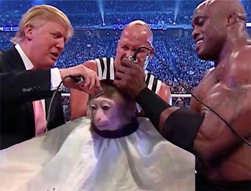 monkey getting a haircut meme