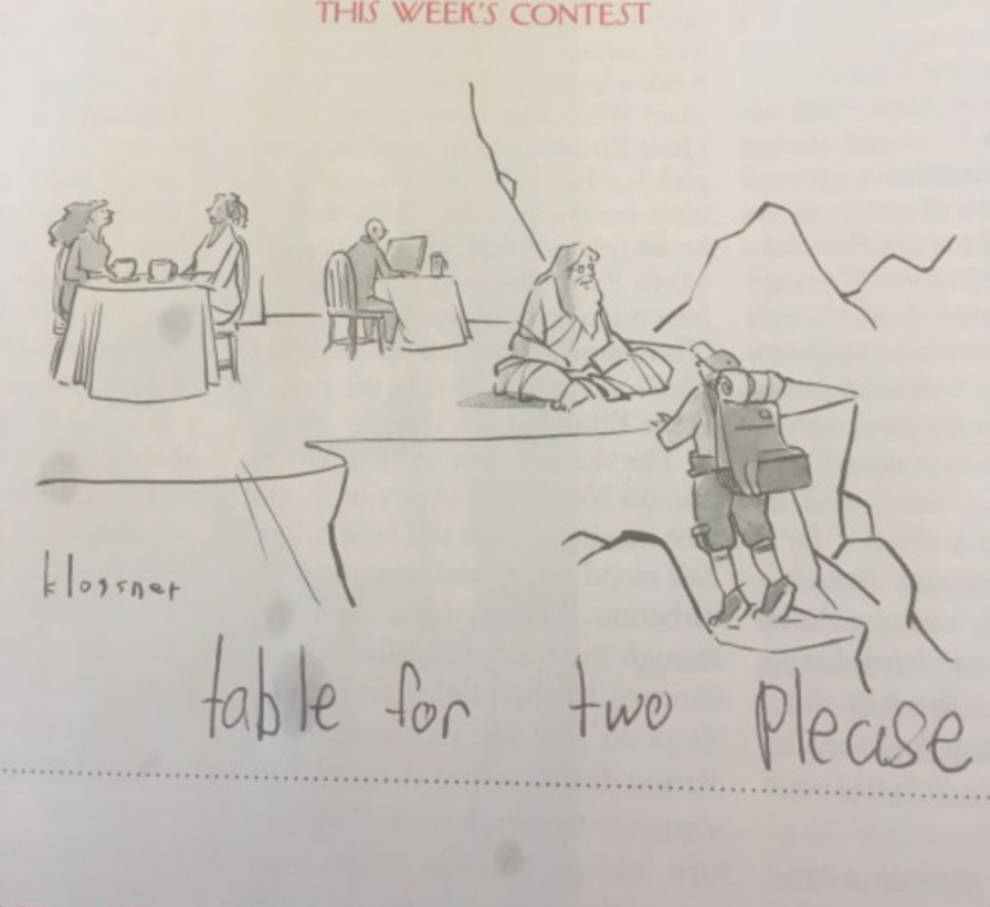 9 Year Old Kid Has Mastered The New Yorker's Caption Contests