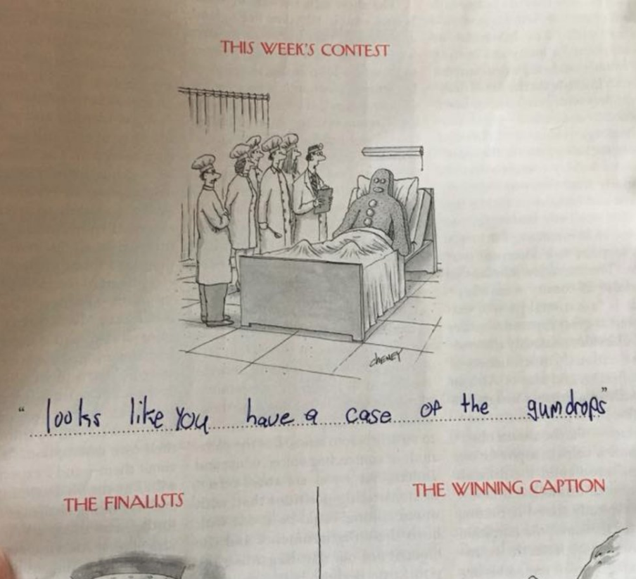 9 Year Old Kid Has Mastered The New Yorker's Caption Contests