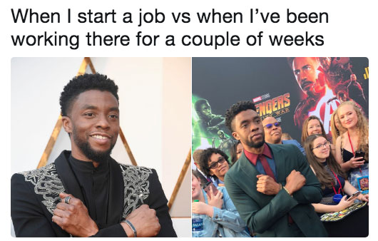memes - chadwick boseman meme - When I start a job vs when I've been working there for a couple of weeks Wders