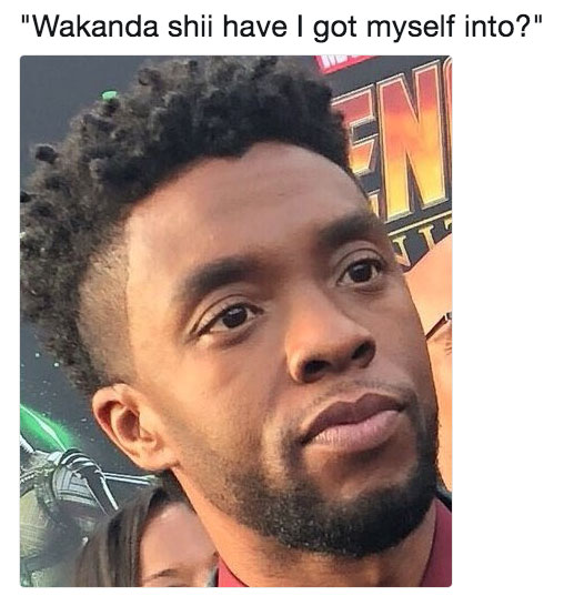memes - wiseman mncube - "Wakanda shii have I got myself into?"