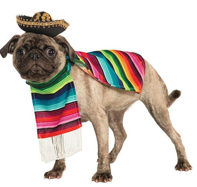 It's not cultural appropriation if your pet does it, right? Either way <a href="https://amzn.to/2OuMkyx" target="_blank">Mexican Pug</a> is a serious Haloween mood. 