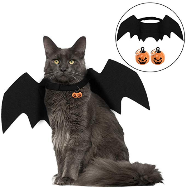 Bat Cat is a classic <a href="https://amzn.to/2NT8F9h" target="_blank">Halloween</a> look and won't piss off your kitty too much. 