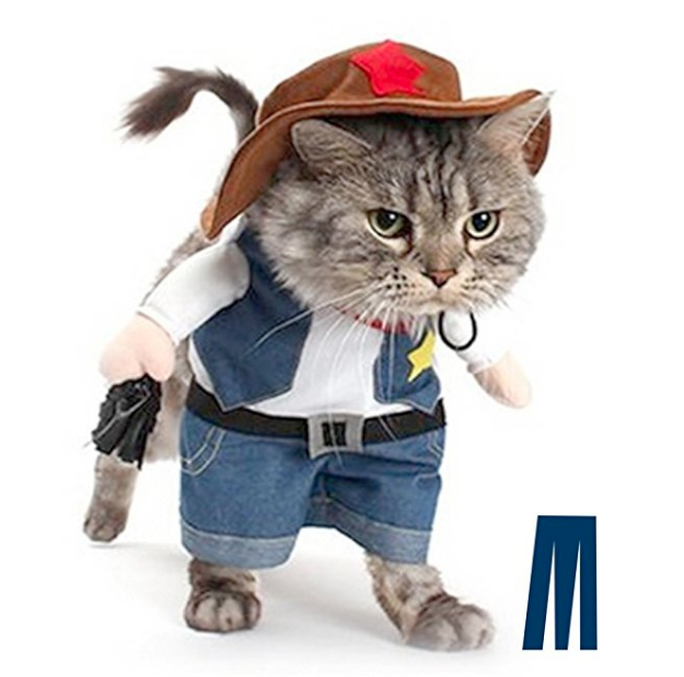 Another classic Halloween look is <a href="https://amzn.to/2OnjWhz" target="_blank">Sheriff Cat</a>, I mean just look at him. 
