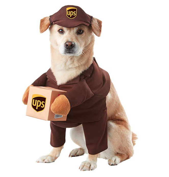 Dress your good boy up as his favorite delivery man.  <a href="https://amzn.to/2RcGTT6" target="_blank">UPS Dog</a> is sure to delivery all the laughs at your Halloween party. 