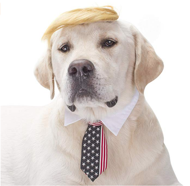 Without a doubt the best costume you'll see this year. <a href="https://amzn.to/2P0hRoI" target="_blank">Trump Dog</a> will take a shit in your bed and blame it on your wife, no joke. 