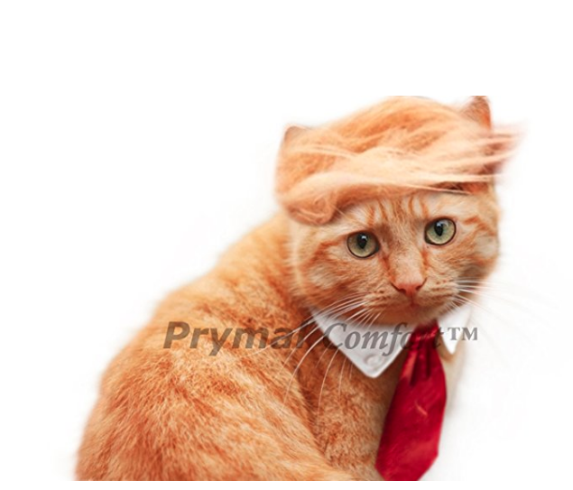 And for those of you who are cat people, we have you covered. <a href="https://amzn.to/2OuMUfH" target="_blank">Trump Cat</a> doesn't take shit from nobody. 