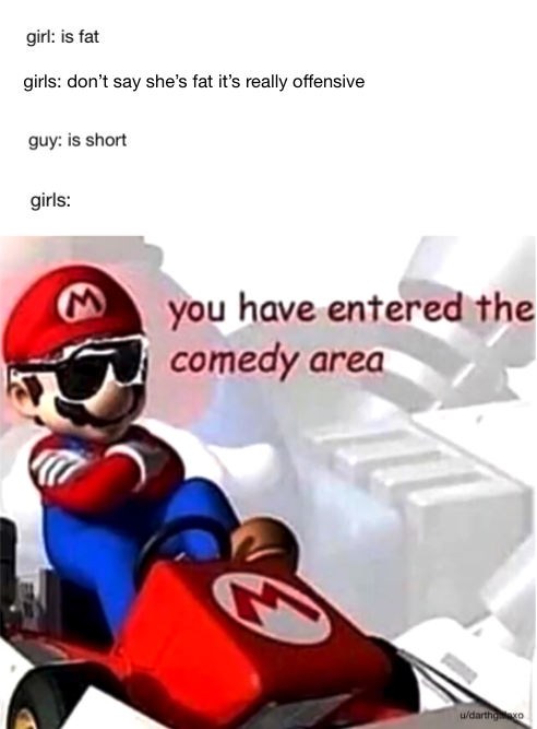comedy area memes -mario kart ds - girl is fat girls don't say she's fat it's really offensive guy is short girls you have entered the comedy area udarthho