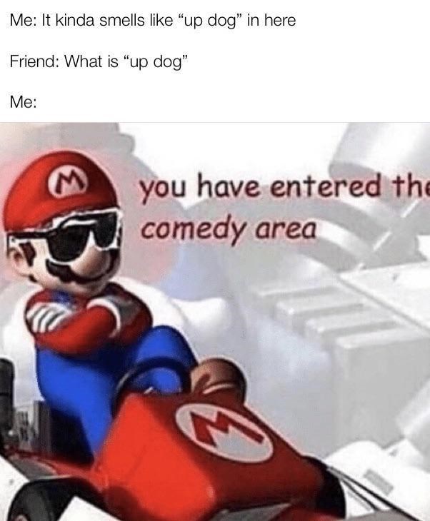 mario kart ds - Me It kinda smells "up dog" in here Friend What is "up dog" Me M you have entered the comedy area