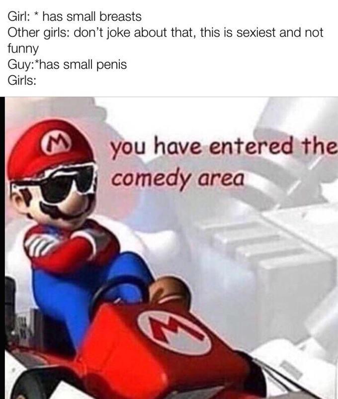 comedy area memes -mario kart ds - Girl has small breasts Other girls don't joke about that, this is sexiest and not funny Guy has small penis Girls you have entered the comedy area