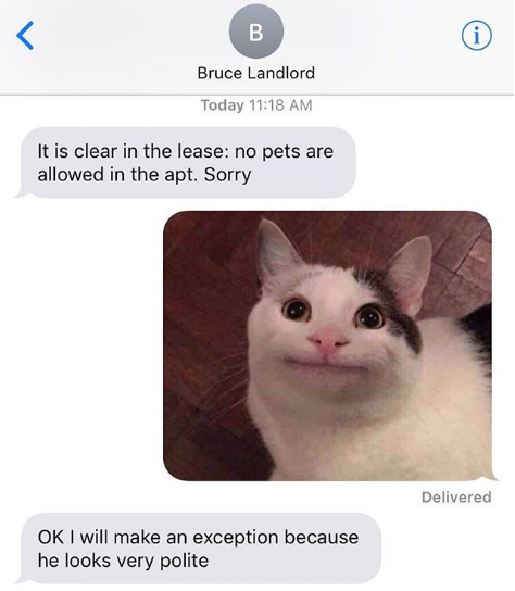 polite cat meme - Bruce Landlord Today It is clear in the lease no pets are allowed in the apt. Sorry Delivered Ok I will make an exception because he looks very polite