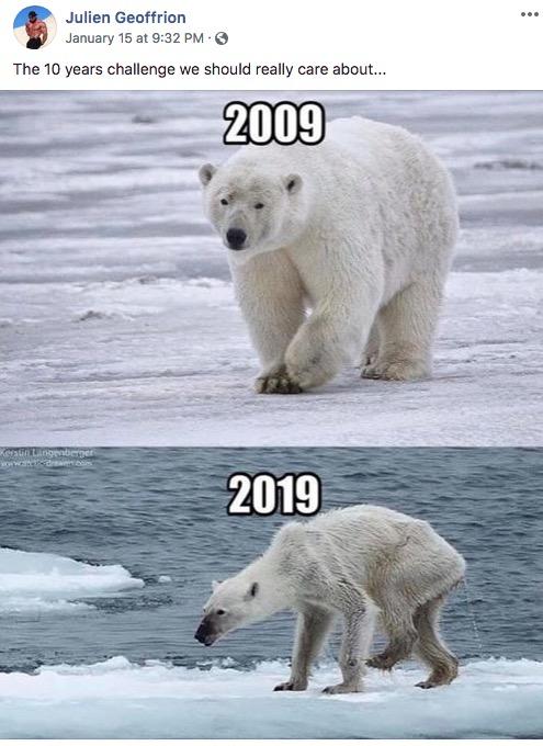 polar bear 10 year challenge - Julien Geoffrion January 15 at The 10 years challenge we should really care about... 2009 X in Lingeriget 2019