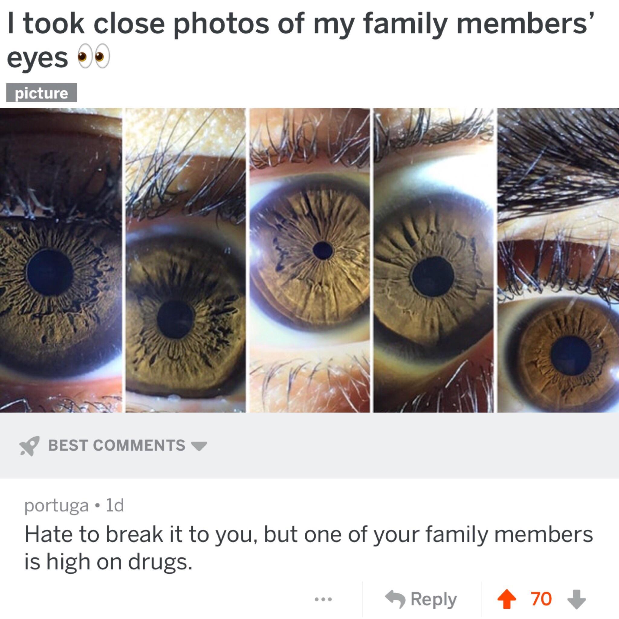 really funny pictures - iris - I took close photos of my family members' eyes picture Best portuga ld Hate to break it to you, but one of your family members is high on drugs. ... 470