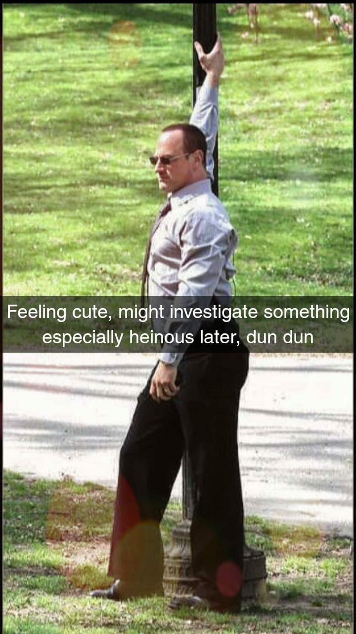 really funny pictures - feeling cute meme stabler - Feeling cute, might investigate something especially heinous later, dun dun