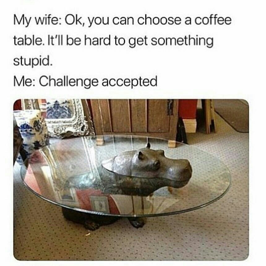 really funny pictures - you can choose the coffee table - My wife Ok, you can choose a coffee table. It'll be hard to get something stupid. Me Challenge accepted