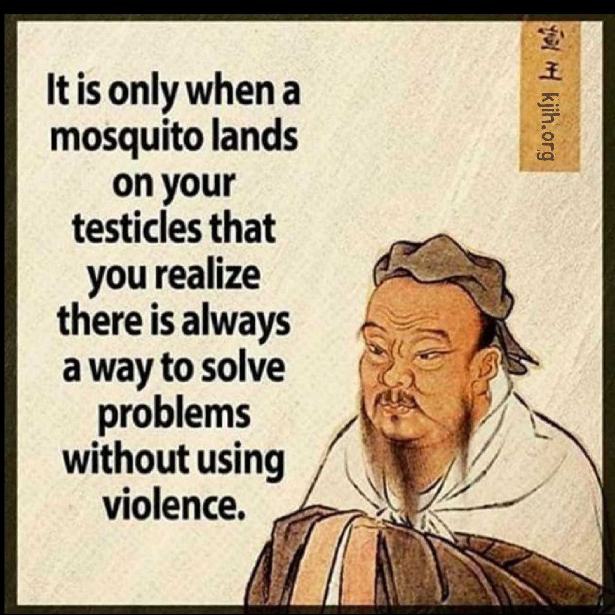 really funny pictures - confucius say - yol 4 kjih.org It is only when a mosquito lands on your testicles that you realize there is always a way to solve problems without using violence.