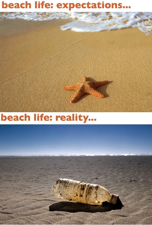 funny monday memes - expectation vs reality clean memes - beach life expectations... beach life reality...