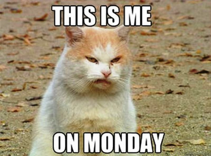funny monday memes - monday memes - This Is Me On Monday
