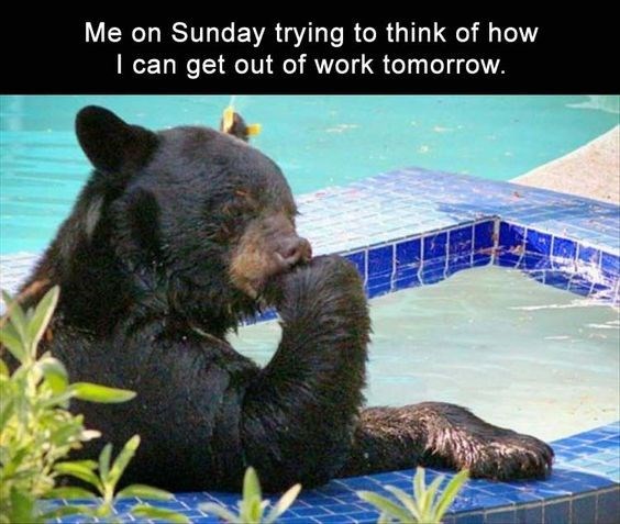 funny monday memes - funny monday work memes - Me on Sunday trying to think of how I can get out of work tomorrow.