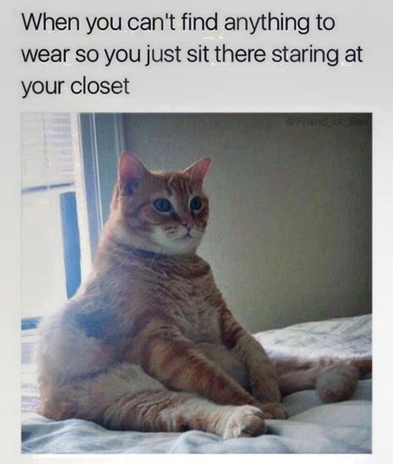 funny monday memes - monday meme funny - When you can't find anything to wear so you just sit there staring at your closet Friandol Bac