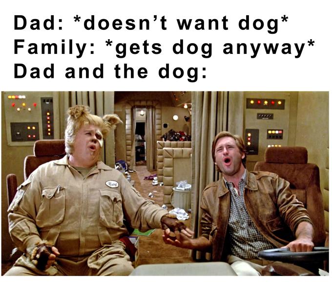dad and dog meme - photo caption - Dad doesn't want dog Family gets dog anyway Dad and the dog God