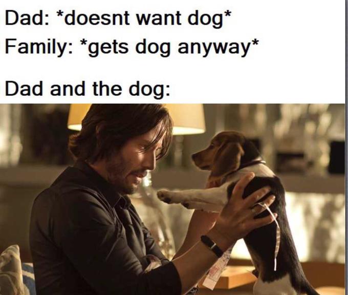 dad and dog meme - john wick dog - Dad doesnt want dog Family gets dog anyway Dad and the dog