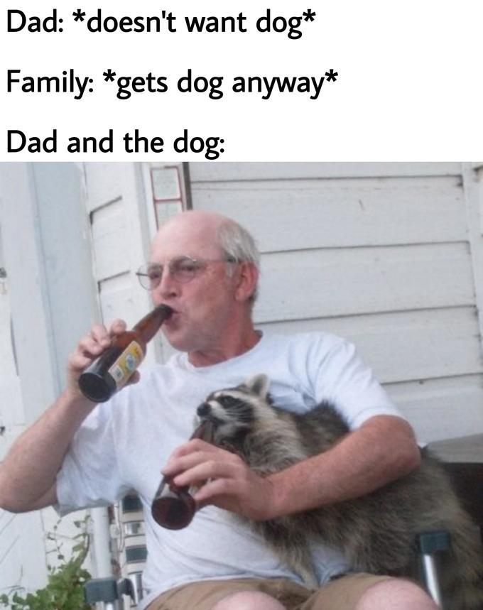 dad and dog meme - man and his dog meme - Dad doesn't want dog Family gets dog anyway Dad and the dog
