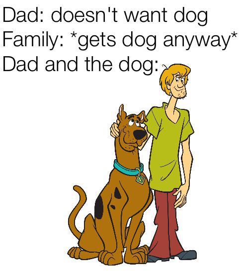 dad and dog meme - shaggy scooby doo - Dad doesn't want dog Family gets dog anyway Dad and the dog