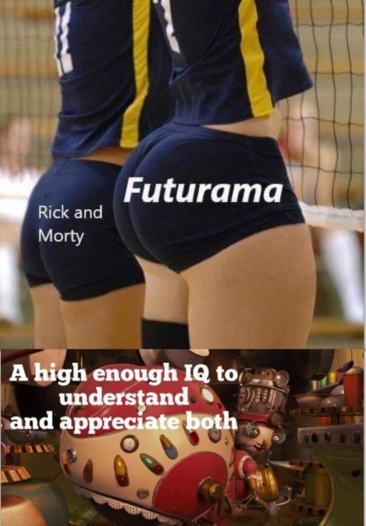 volley ball booty memes - aunt fanny meme - Futurama Rick and Morty A high enough Iq to, understand and appreciate both