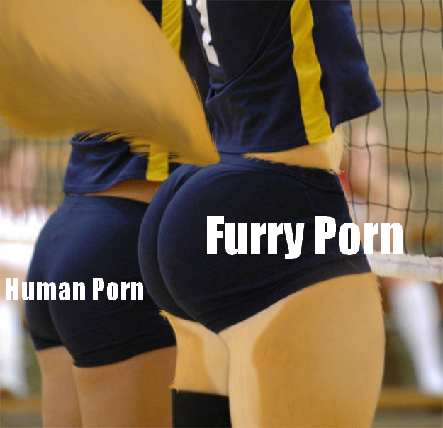 volley ball booty memes - volleyball ass - Furry Porn Human Porn