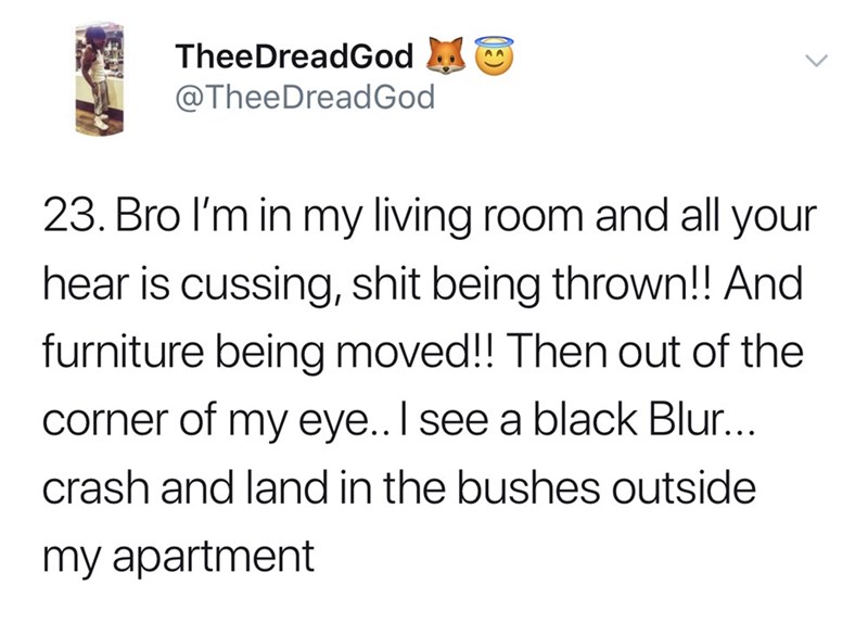 Bro I'm in my living room and all your hear is cussing, shit being thrown!! And furniture being moved!! Then out of the corner of my eye.. I see a black Blur... crash and land in the bushes outside my apartm