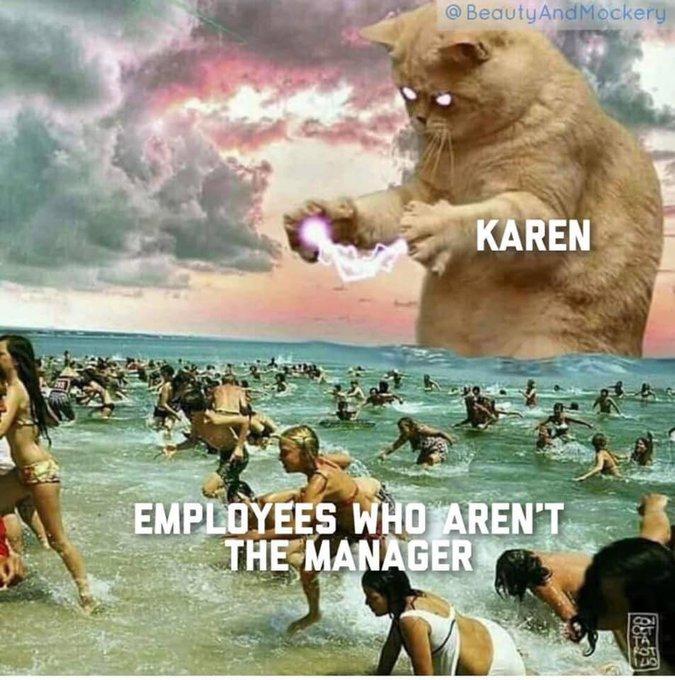 tropical storm karen memes - Karen Employees Who Aren'T The Manager