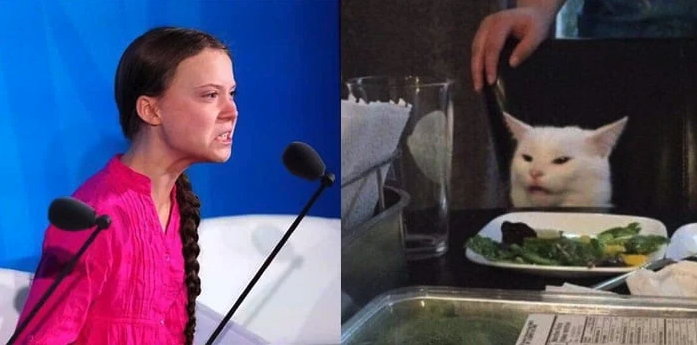 Greta Thunberg memes -two women yelling at a cat