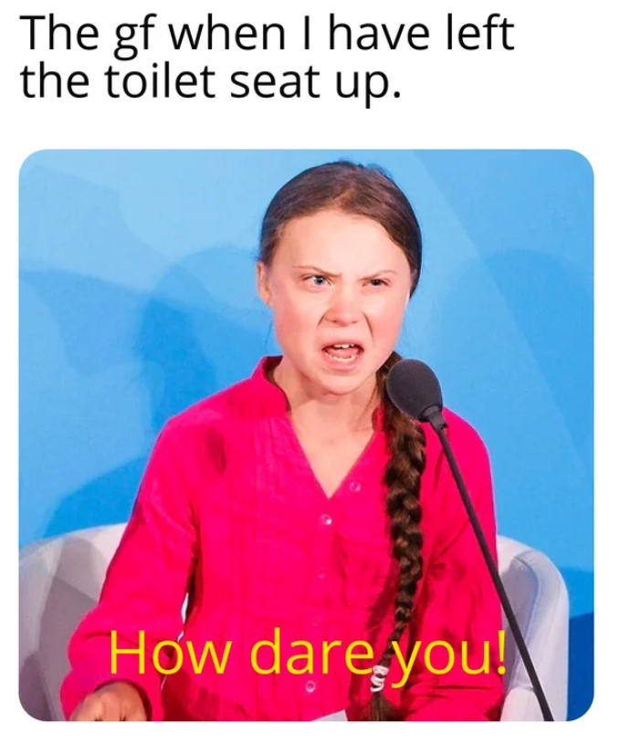 Greta Thunberg memes -smile - The gf when I have left the toilet seat up. How dare you!