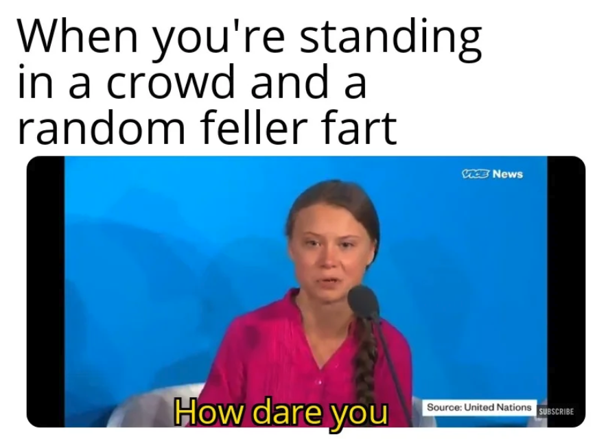 Greta Thunberg memes -hcareers - When you're standing in a crowd and a random feller fart Vice News How dare you Source United Nations source United Nations ascens Subscribe