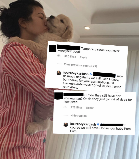 shoulder - Temporary since you never keep your dogs 51 320 ke View previous replies 3 Wow kourtneykardash so much negativity we still have Honey but thanks for your assumptions. I'll assume Santa wasn't good to you, hence your vibes. But do they still hav