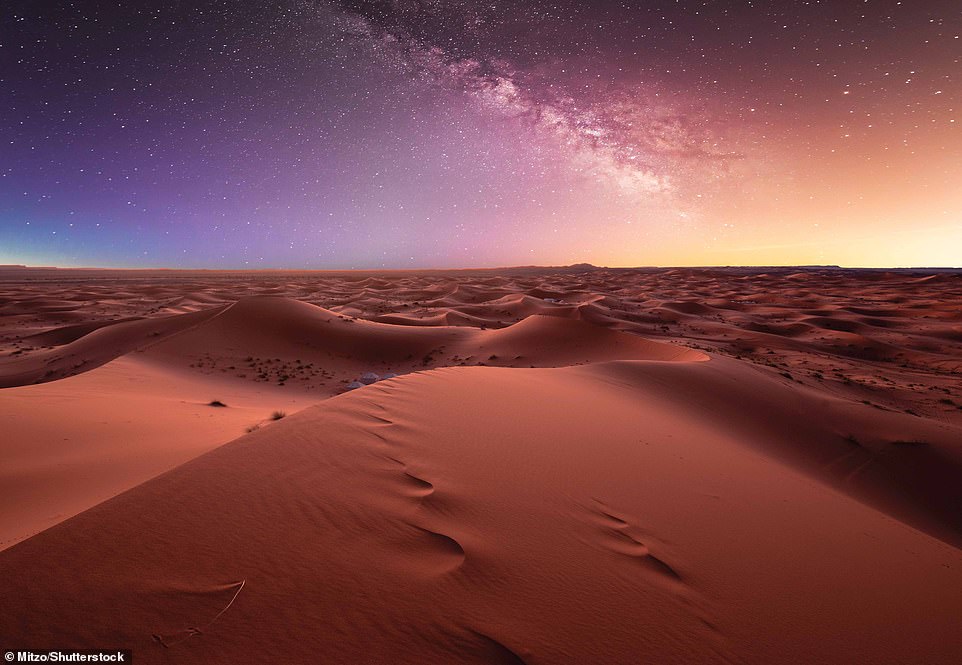 Sahara Desert - MitzoShutterstock