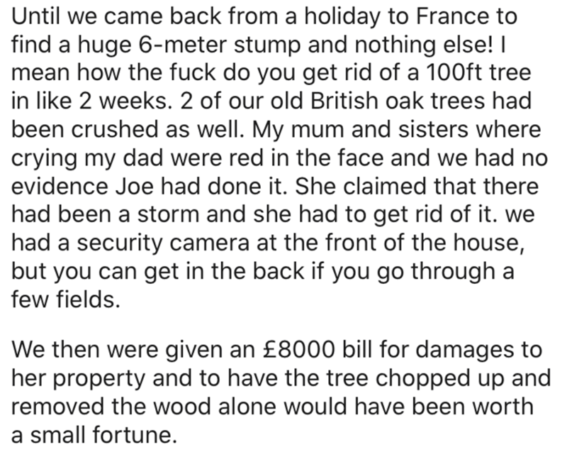 angle - Until we came back from a holiday to France to find a huge 6meter stump and nothing else! mean how the fuck do you get rid of a 100ft tree in 2 weeks. 2 of our old British oak trees had been crushed as well. My mum and sisters where crying my dad 