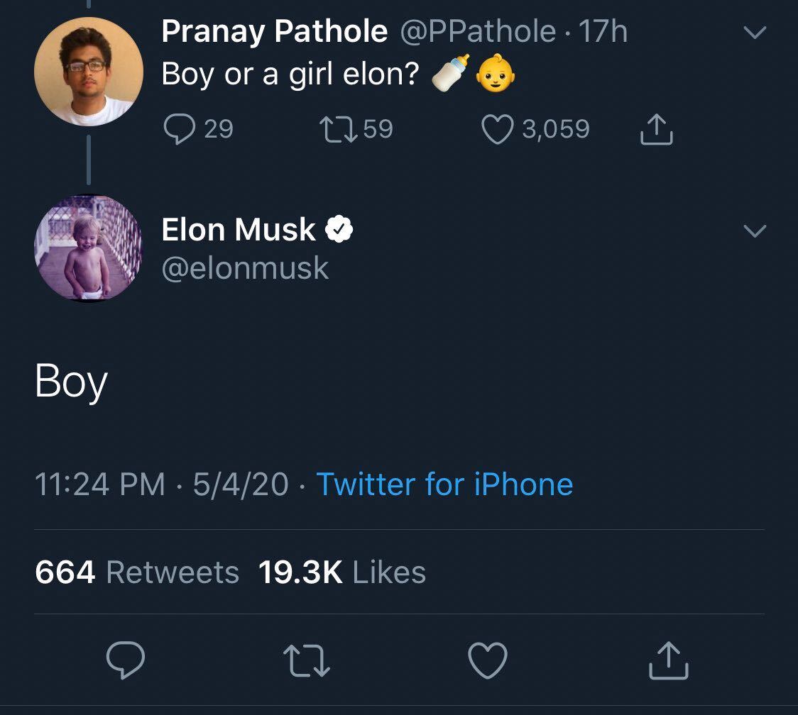 do we try so hard for people post malone - Pranay Pathole . 17h Boy or a girl elon? Q29 2759 3,059 I Elon Musk Boy 5420 Twitter for iPhone 664