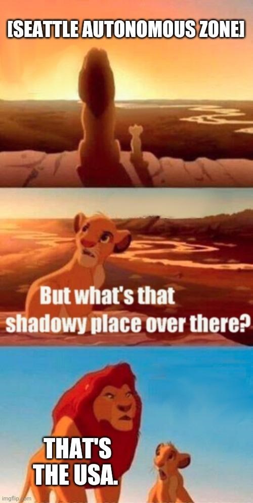 lion king meme austria - Iseattle Autonomous Zonei But what's that shadowy place over there? That'S The Usa. imgflip om