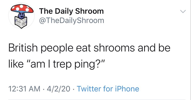 coffee hours and alcohol hours - The Daily Shroom Shroom British people eat shrooms and be "am I trep ping?" 4220 Twitter for iPhone