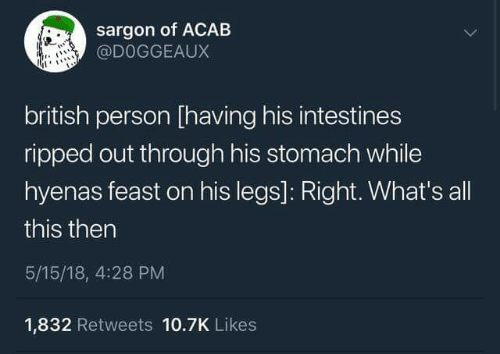 high 5 - sargon of Acab british person having his intestines ripped out through his stomach while hyenas feast on his legs Right. What's all this then 51518, 1,832