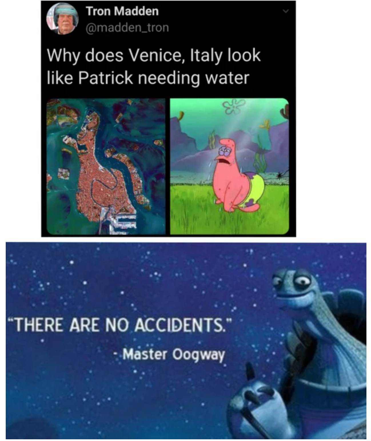 master oogway there are no accidents memes - Tron Madden Why does Venice, Italy look Patrick needing water "There Are No Accidents. Master Oogway