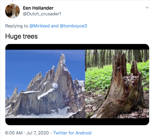 Een Hollander and Huge trees Twitter for Android