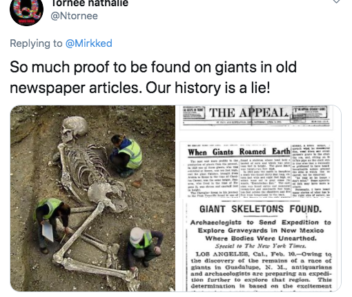 fauna - Tornee nathalie So much proof to be found on giants in old newspaper articles. Our history is a lie! The Appeal When Giants Roamed Earth Giant Skeletons Found. Archaeologists to Send Expedition to Explore Graveyards in New Mexico Where Bodies Were