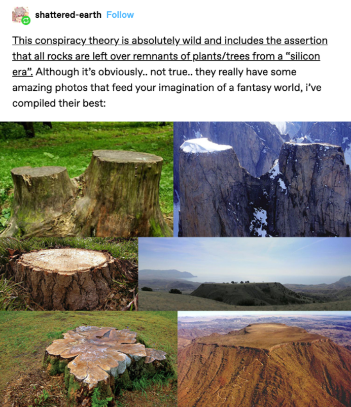 forests aren t real - shatteredearth This conspiracy theory is absolutely wild and includes the assertion that all rocks are left over remnants of plantstrees from a "silicon era". Although it's obviously.. not true.. they really have some amazing photos 